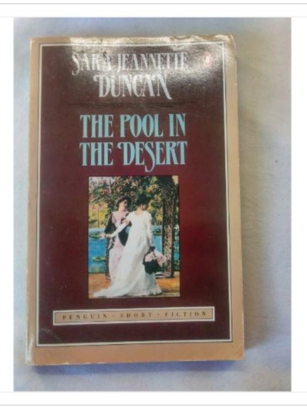 The Pool in the Desert Sara Jeannette Duncan 1984 Paperback Book Vintage Novel